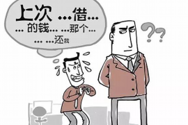 平阳平阳的要账公司在催收过程中的策略和技巧有哪些？